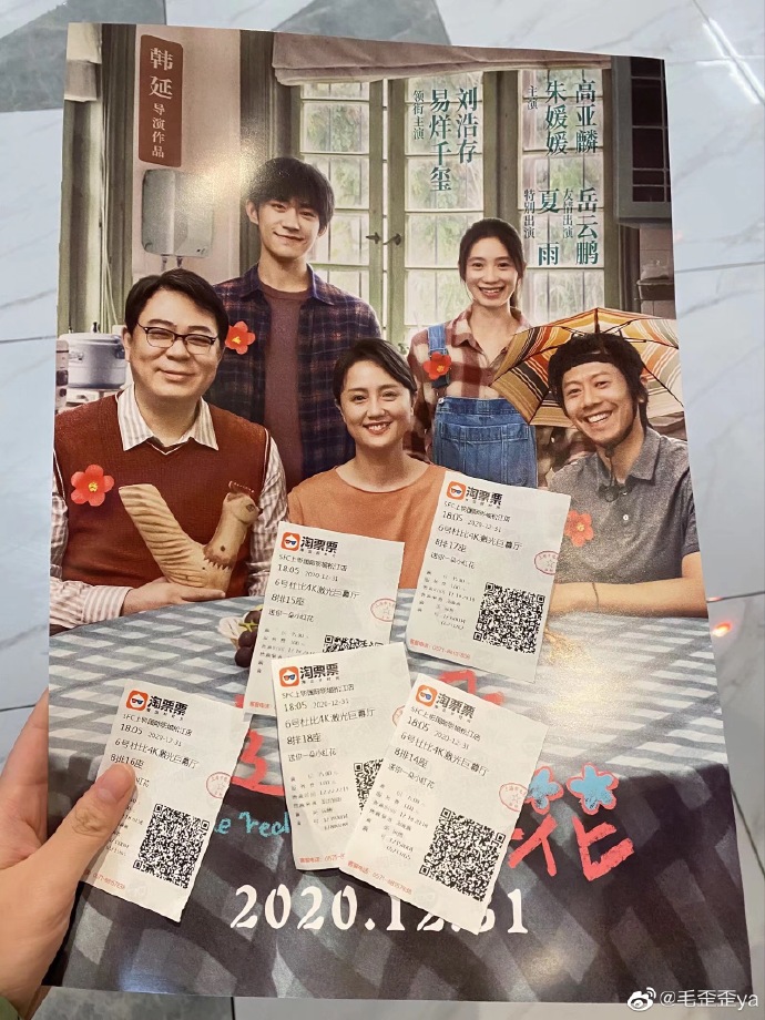 猫图片|宠物猫|猫咪|