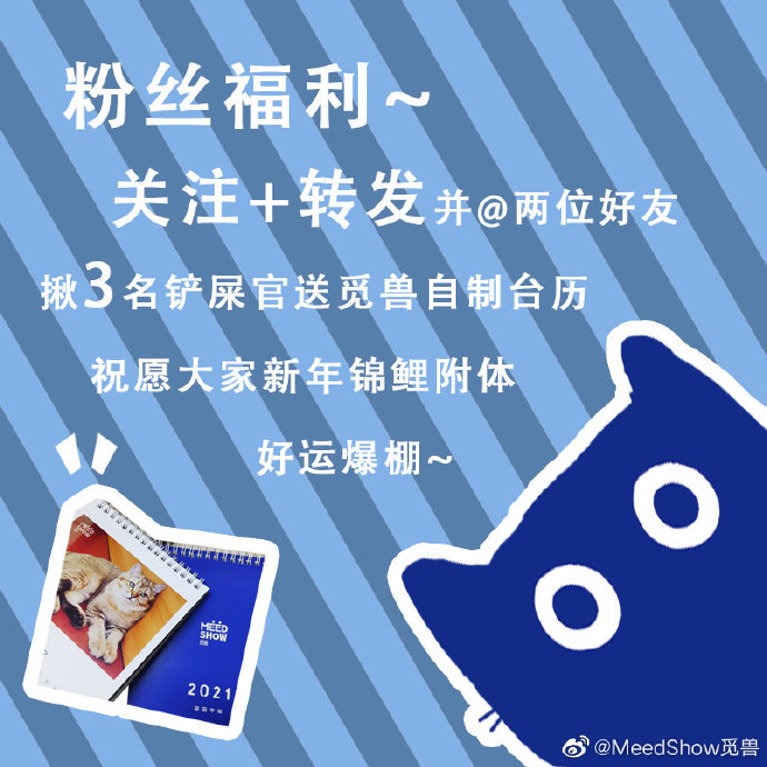 猫图片|宠物猫|猫咪|