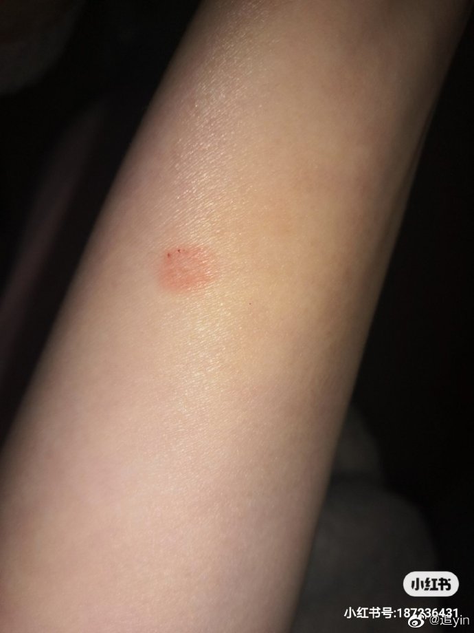 猫图片|宠物猫|猫咪|