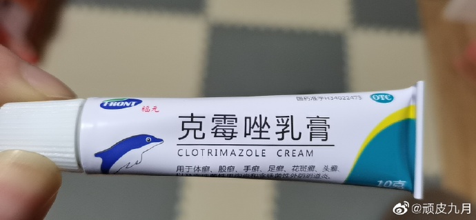 猫图片|宠物猫|猫咪|