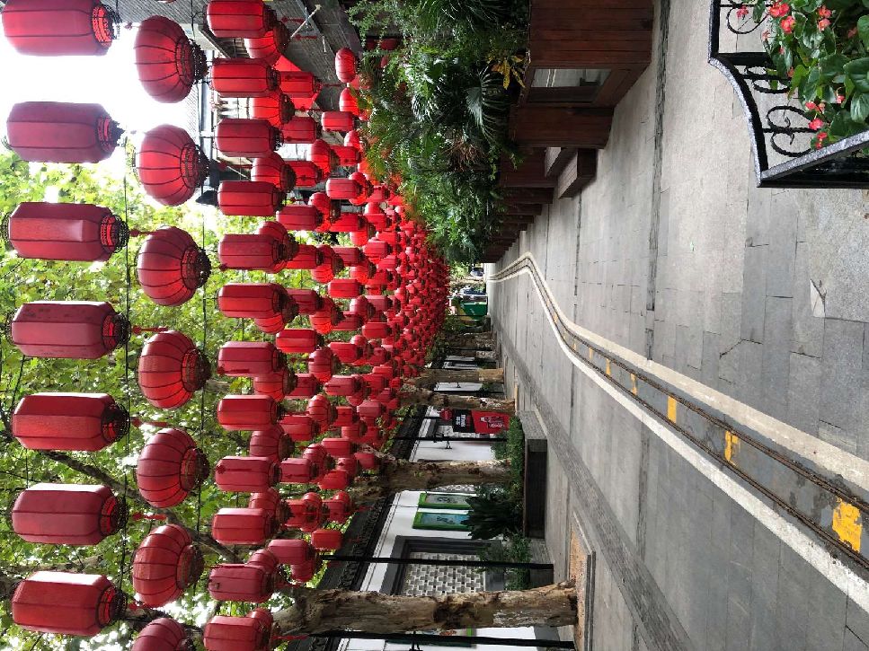 猫图片|宠物猫|猫咪|