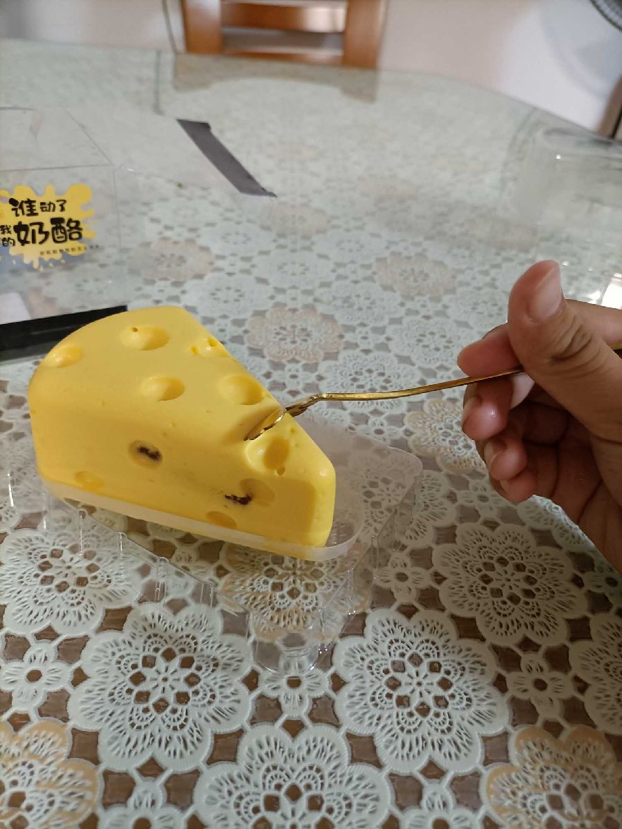 猫图片|宠物猫|猫咪|