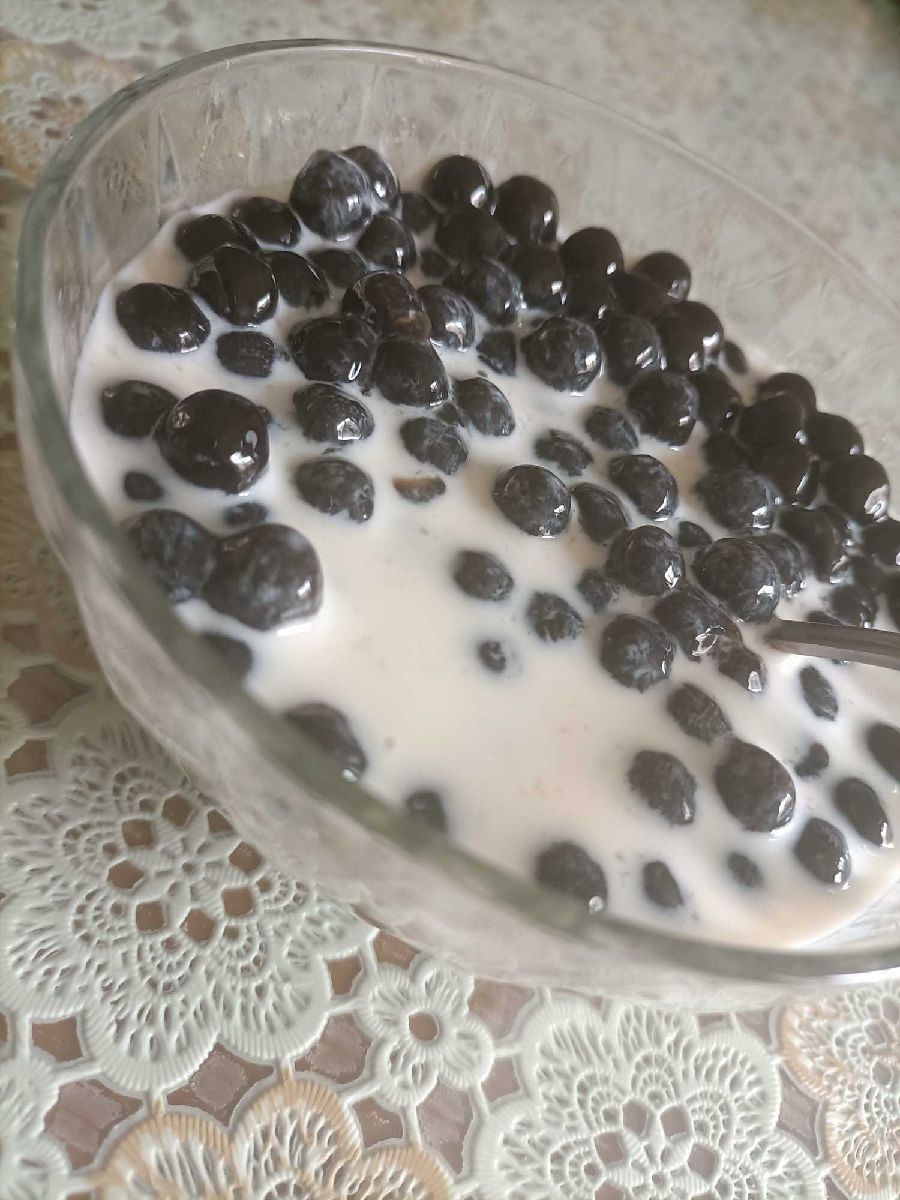 猫图片|宠物猫|猫咪|