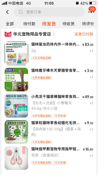 猫图片|宠物猫|猫咪|