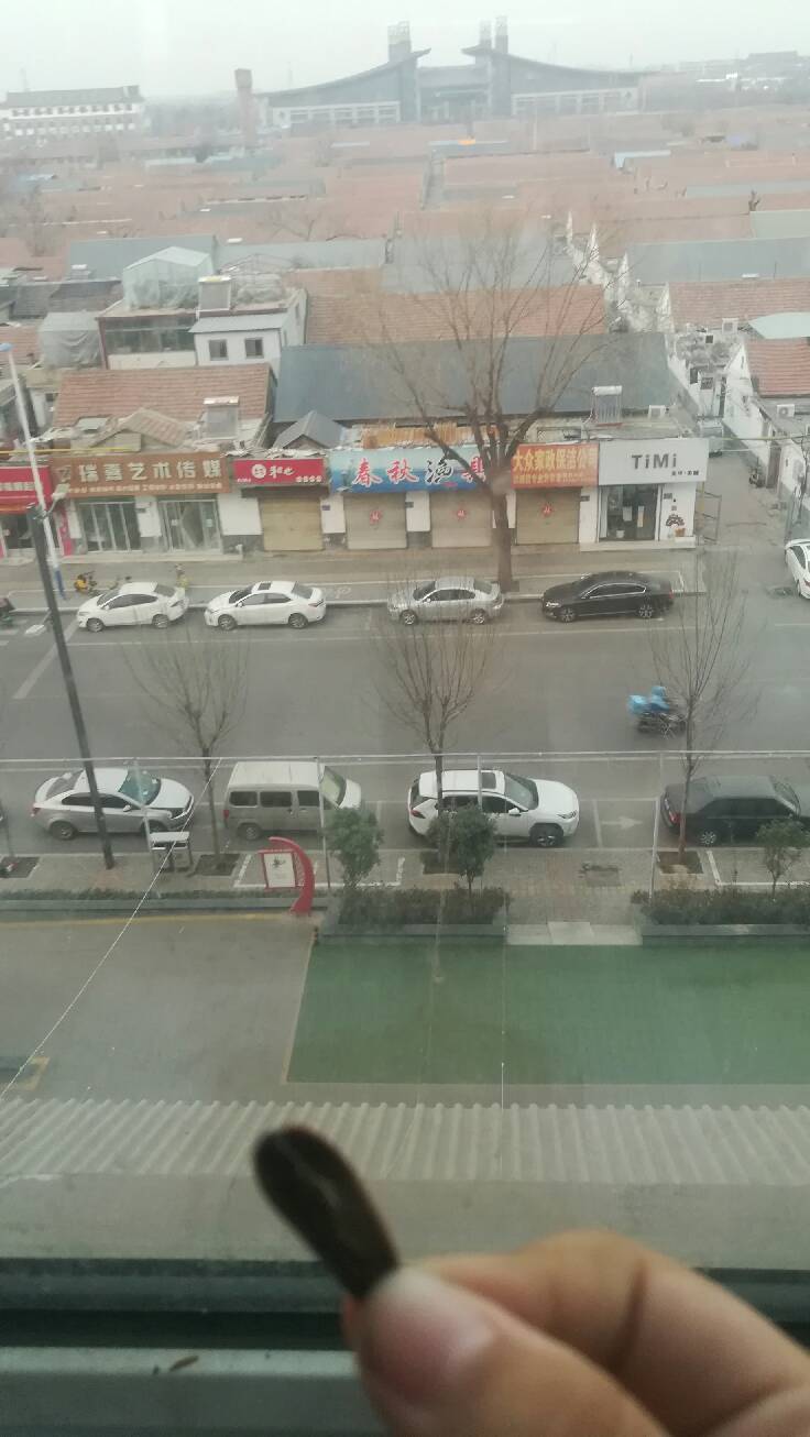 猫图片|宠物猫|猫咪|