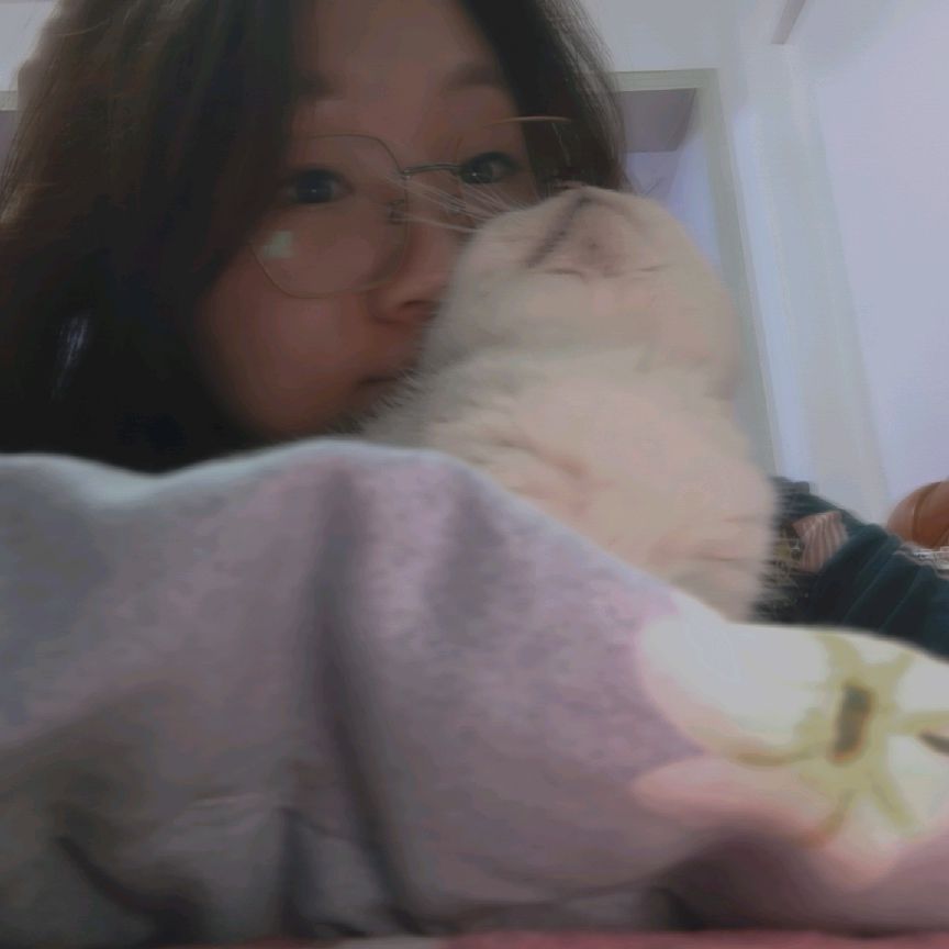 猫图片|宠物猫|猫咪|