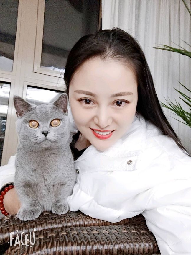 猫图片|宠物猫|猫咪|