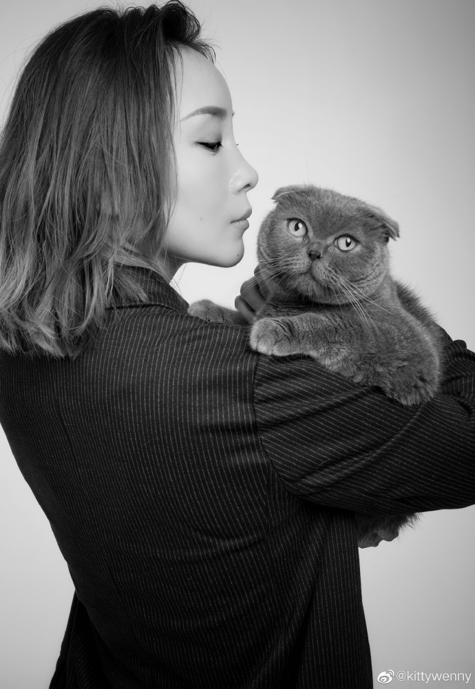 猫图片|宠物猫|猫咪|