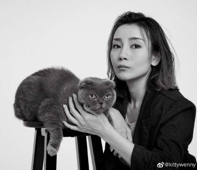 猫图片|宠物猫|猫咪|