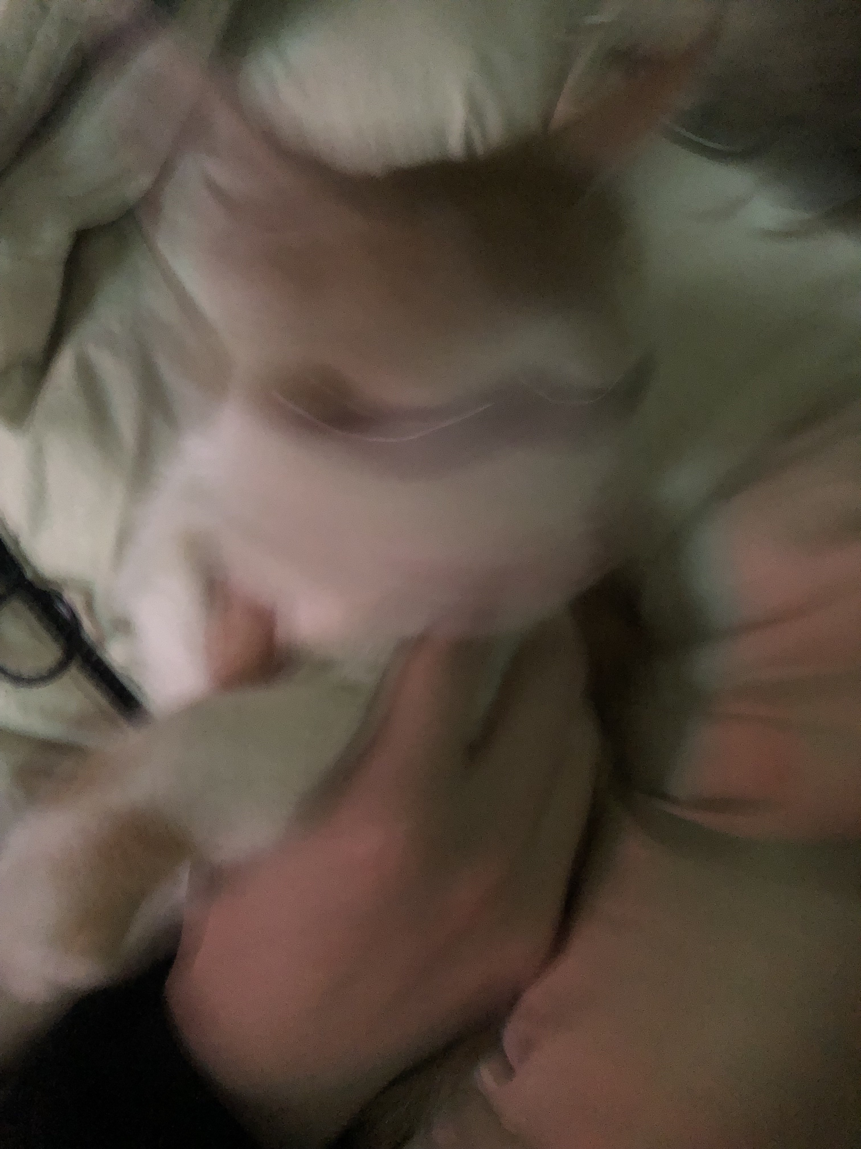 猫图片|宠物猫|猫咪|