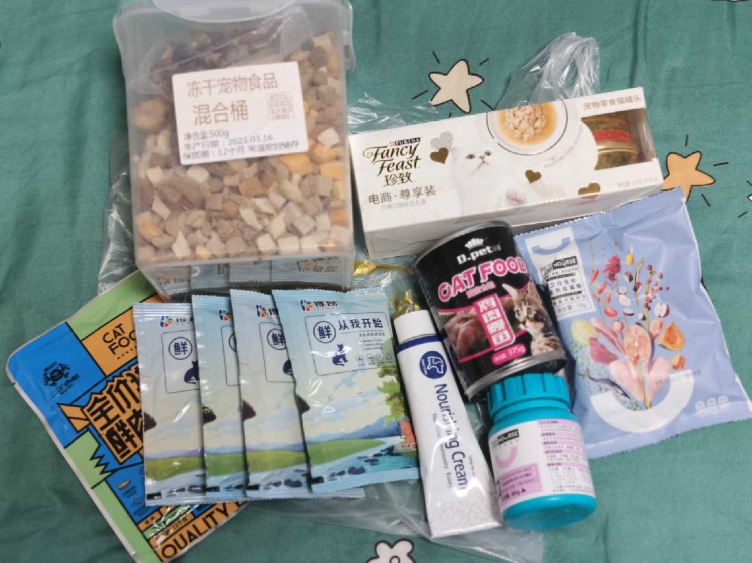 猫图片|宠物猫|猫咪|