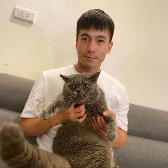 猫图片|宠物猫|猫咪|