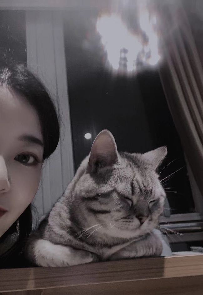 猫图片|宠物猫|猫咪|