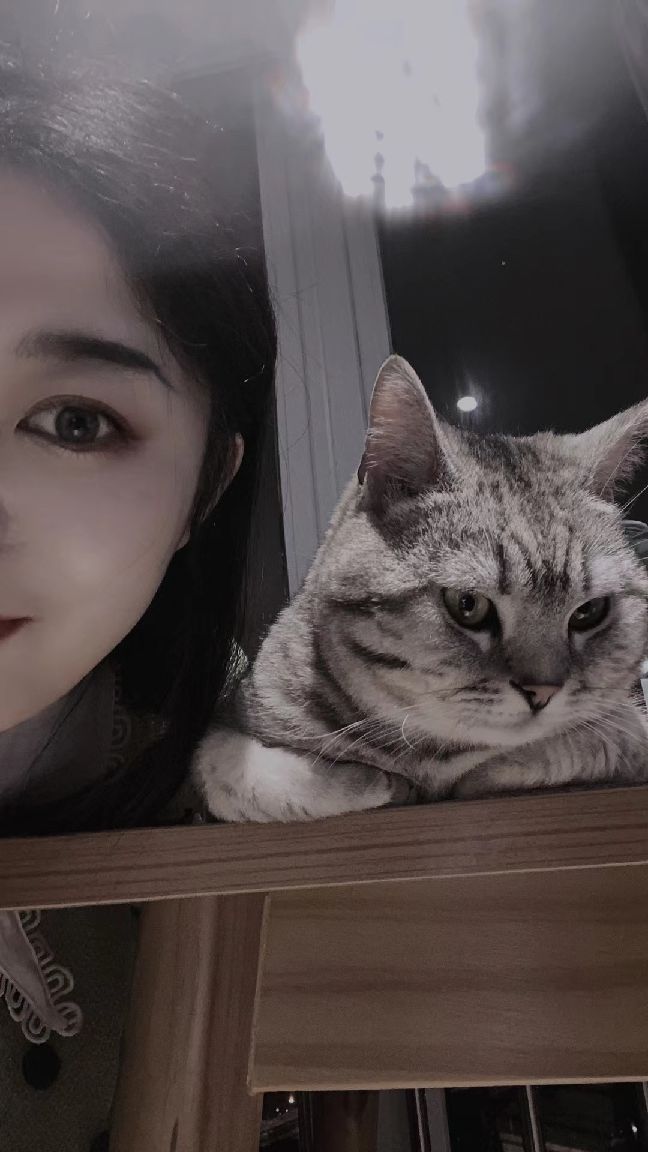 猫图片|宠物猫|猫咪|