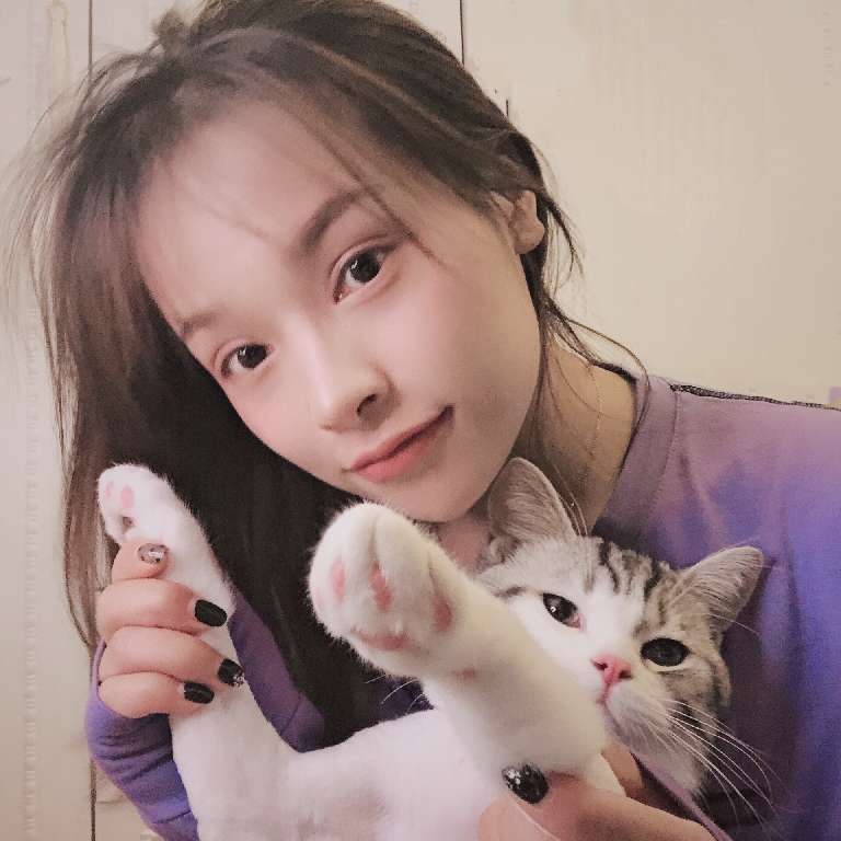 猫图片|宠物猫|猫咪|