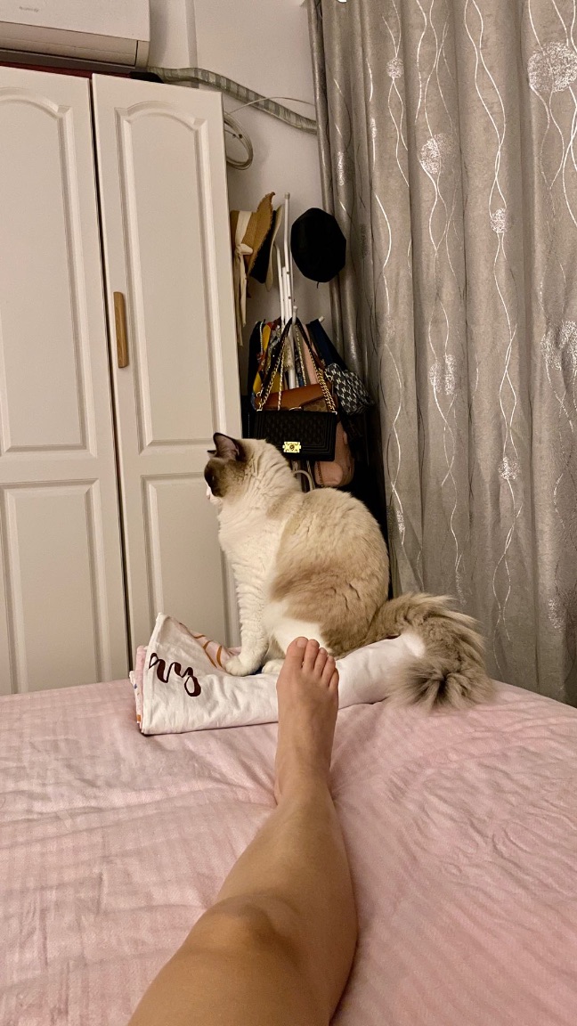 猫图片|宠物猫|猫咪|