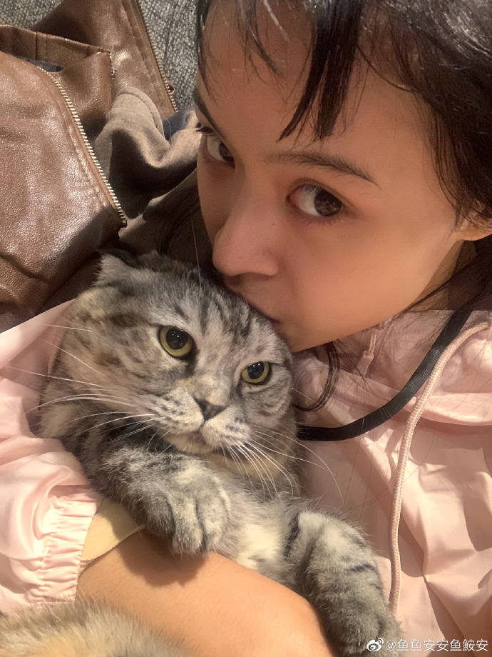 猫图片|宠物猫|猫咪|