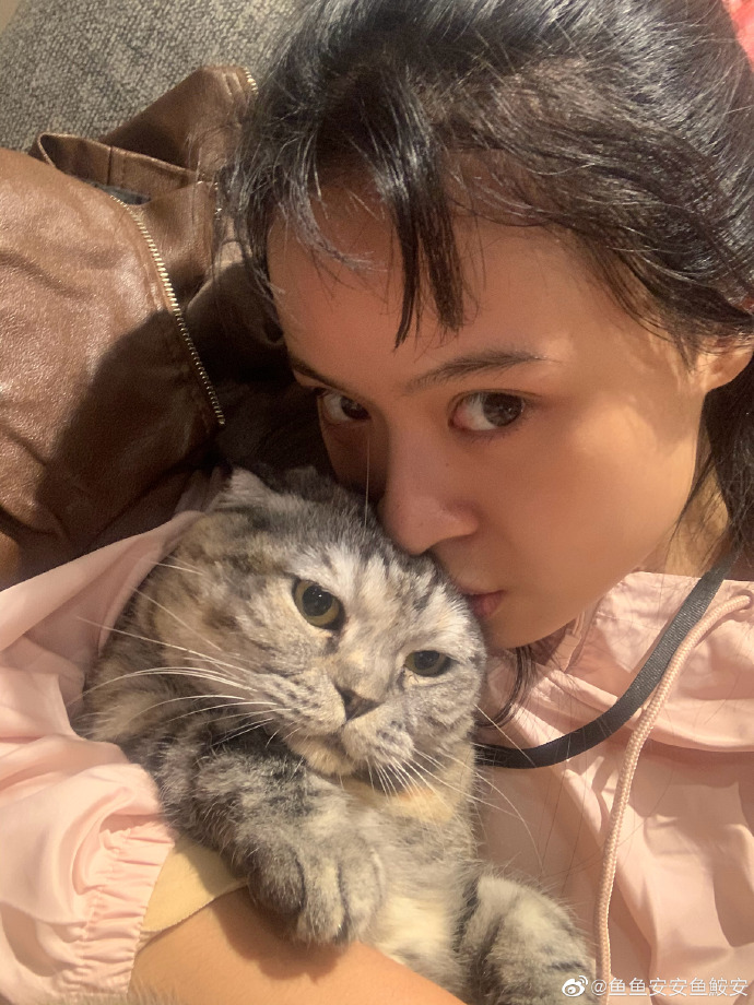 猫图片|宠物猫|猫咪|