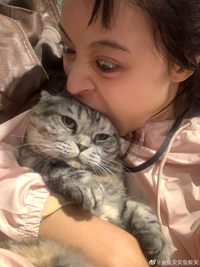 猫图片|宠物猫|猫咪|