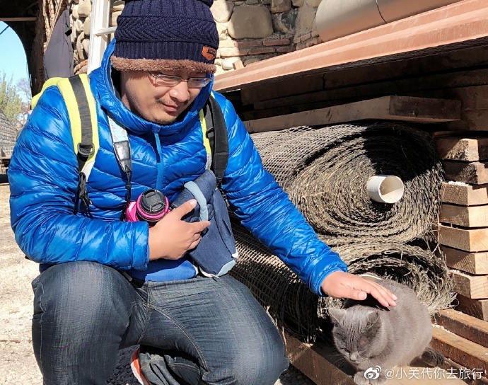 猫图片|宠物猫|猫咪|