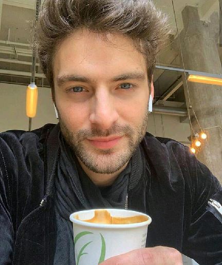 猫图片|宠物猫|猫咪|