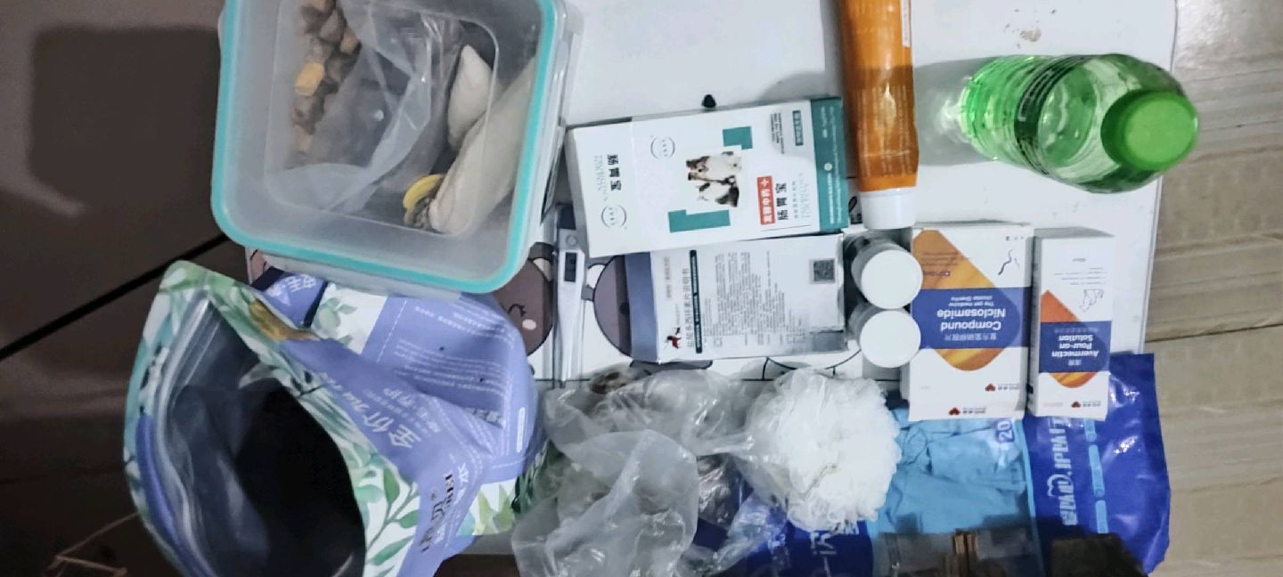 猫图片|宠物猫|猫咪|