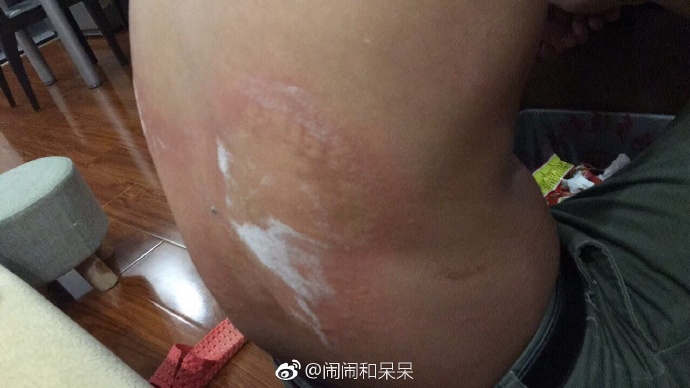 猫图片|宠物猫|猫咪|