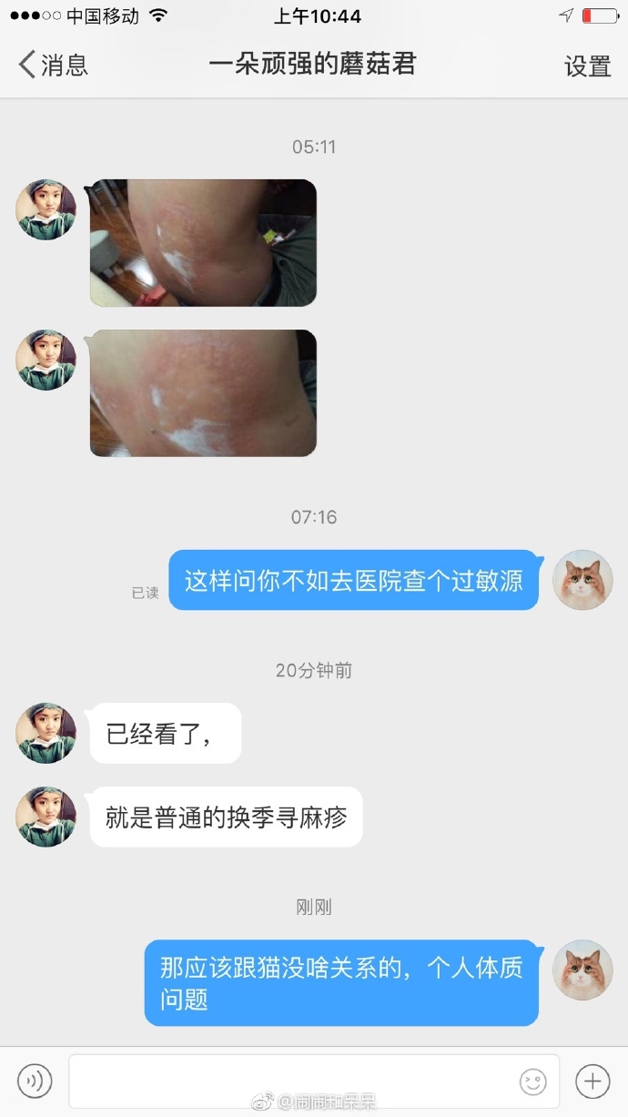 猫图片|宠物猫|猫咪|