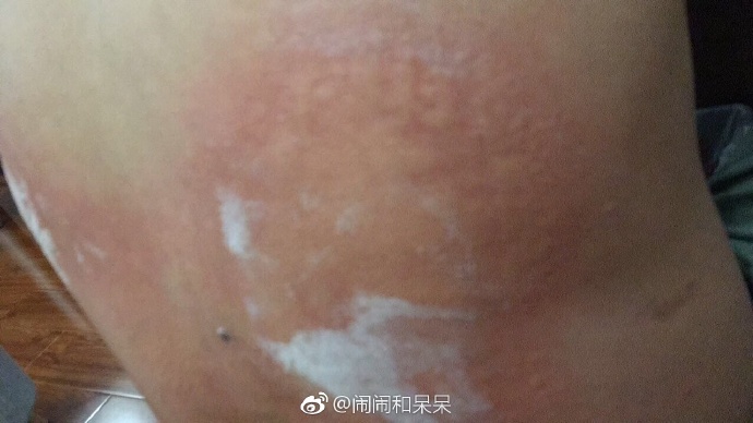 猫图片|宠物猫|猫咪|