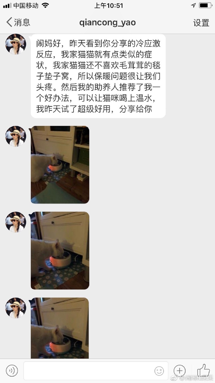 猫图片|宠物猫|猫咪|