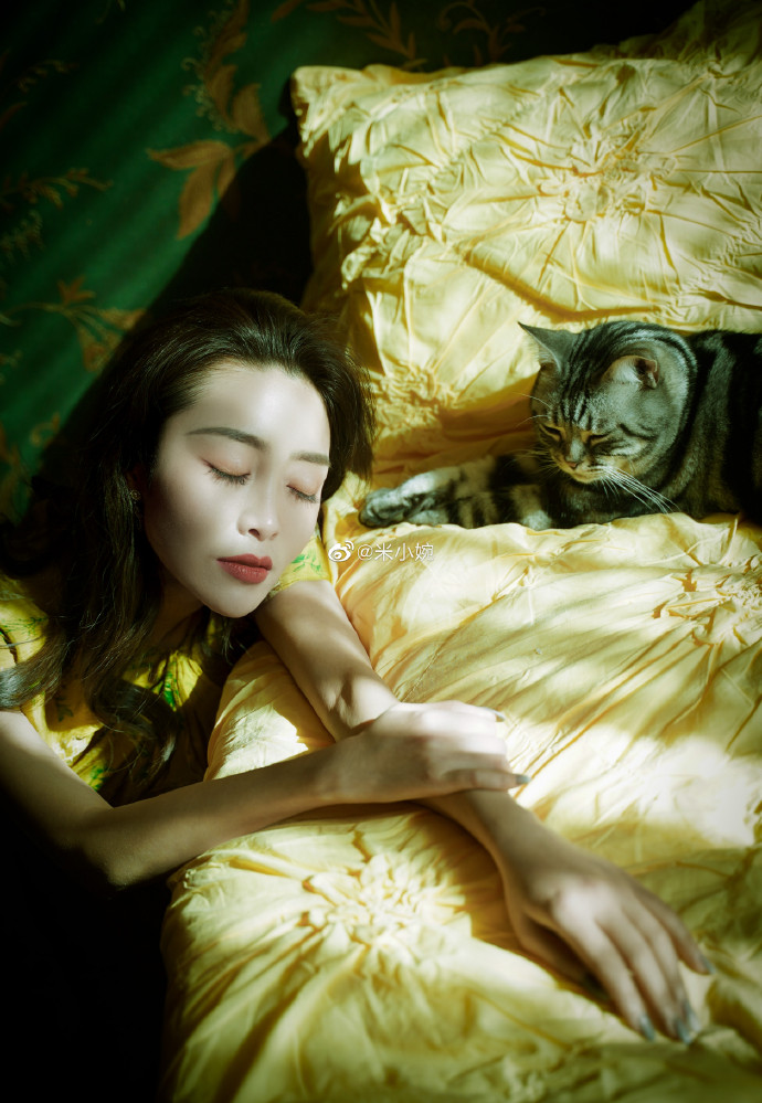 猫图片|宠物猫|猫咪|