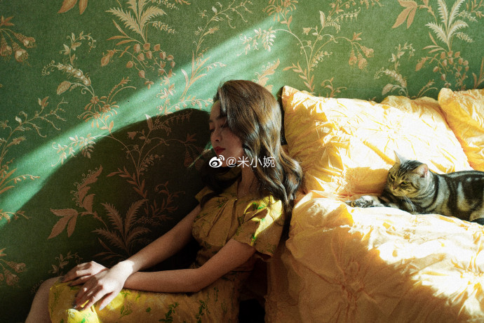 猫图片|宠物猫|猫咪|