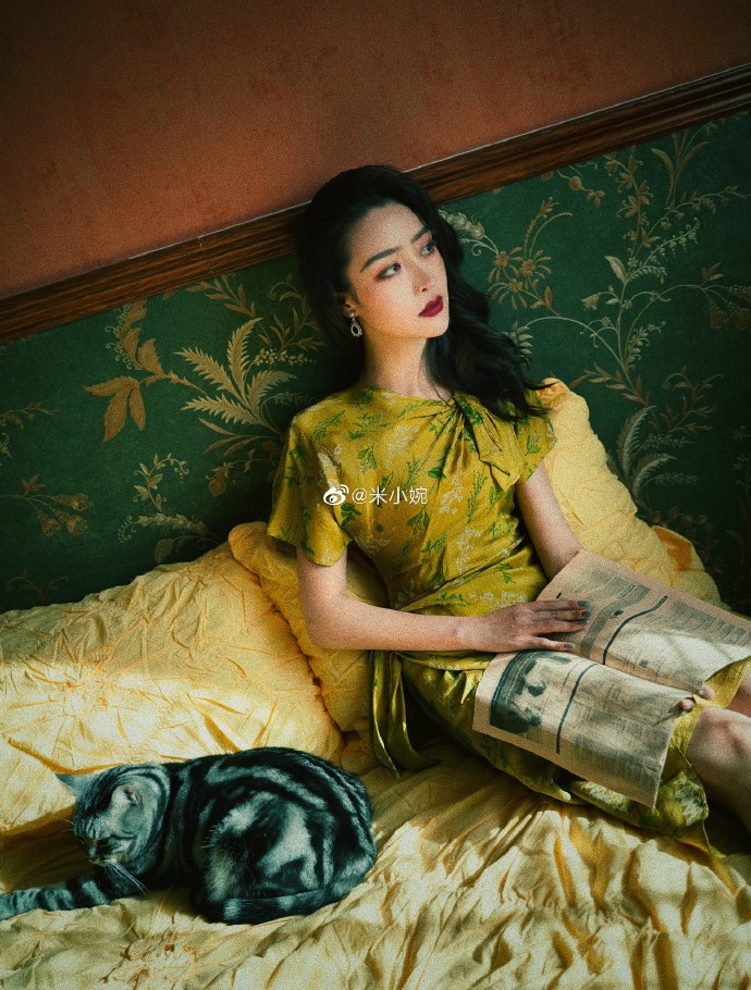 猫图片|宠物猫|猫咪|