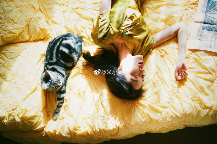 猫图片|宠物猫|猫咪|