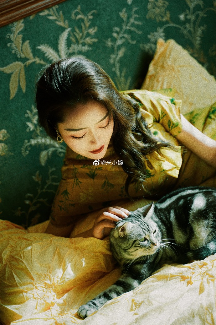 猫图片|宠物猫|猫咪|