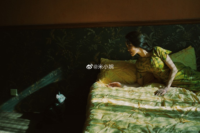 猫图片|宠物猫|猫咪|