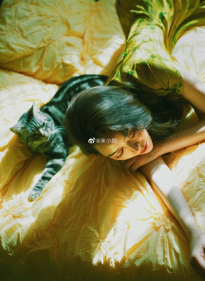 猫图片|宠物猫|猫咪|