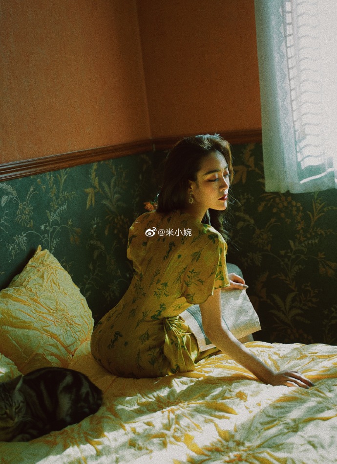 猫图片|宠物猫|猫咪|