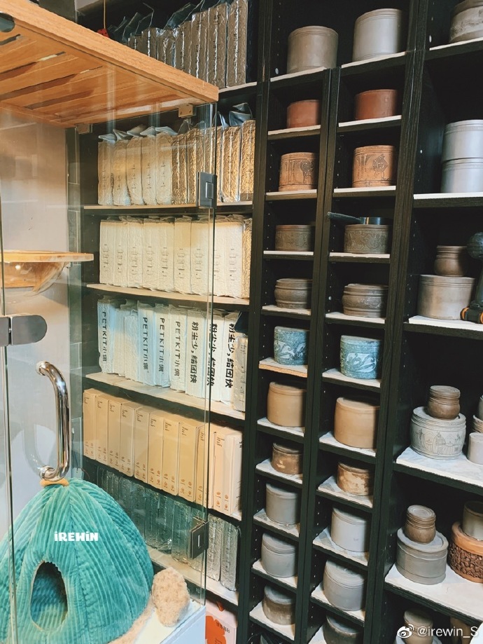 猫图片|宠物猫|猫咪|