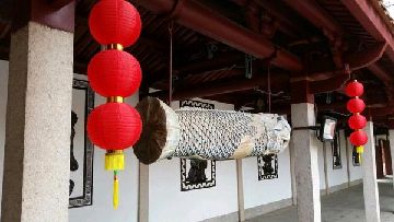 猫图片|宠物猫|猫咪|