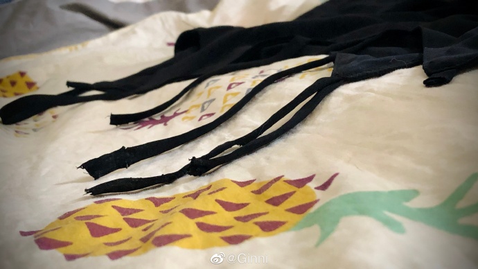 猫图片|宠物猫|猫咪|