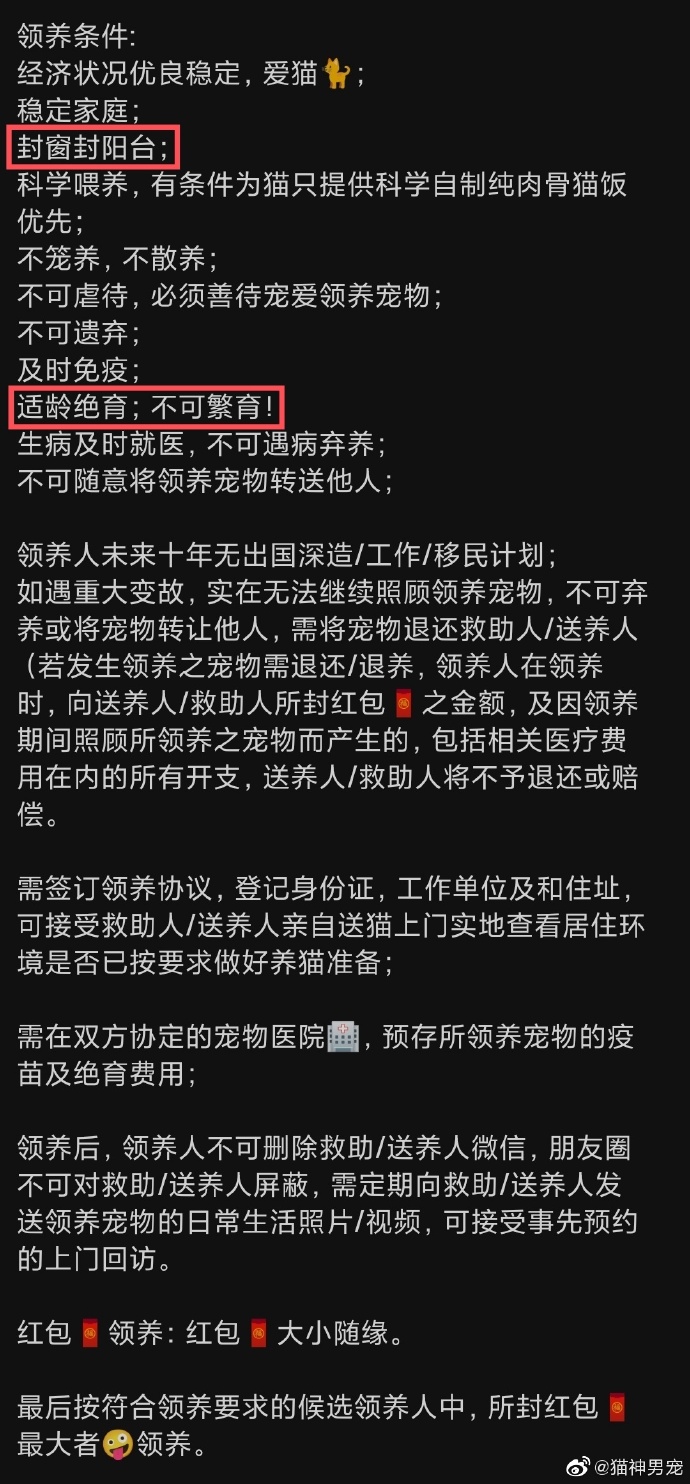 猫图片|宠物猫|猫咪|