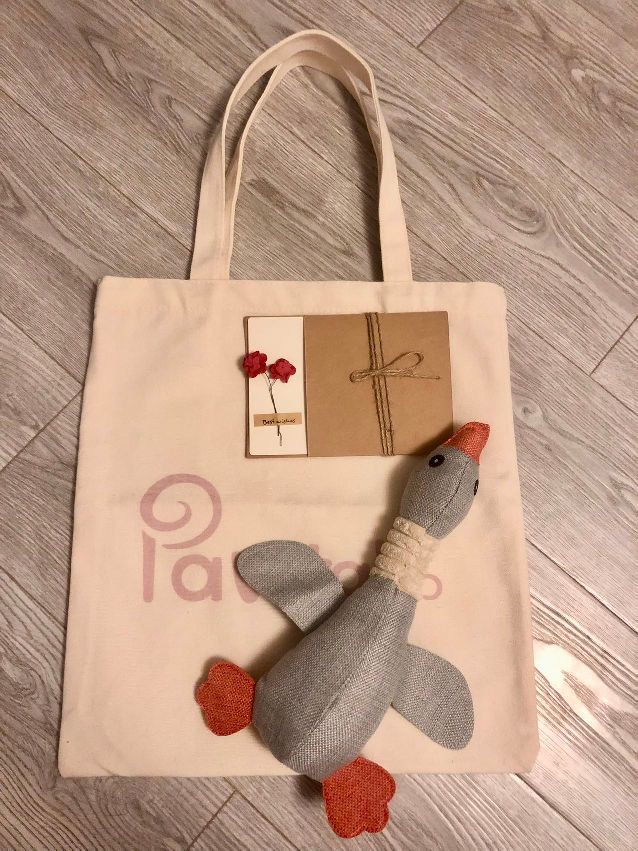 猫图片|宠物猫|猫咪|