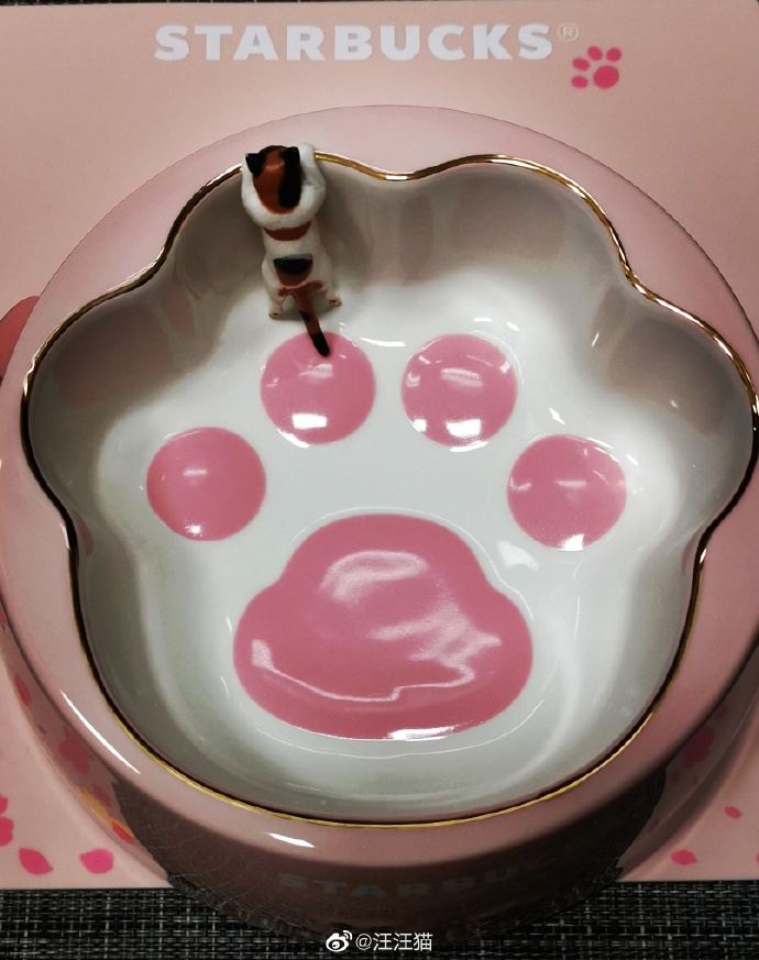 猫图片|宠物猫|猫咪|