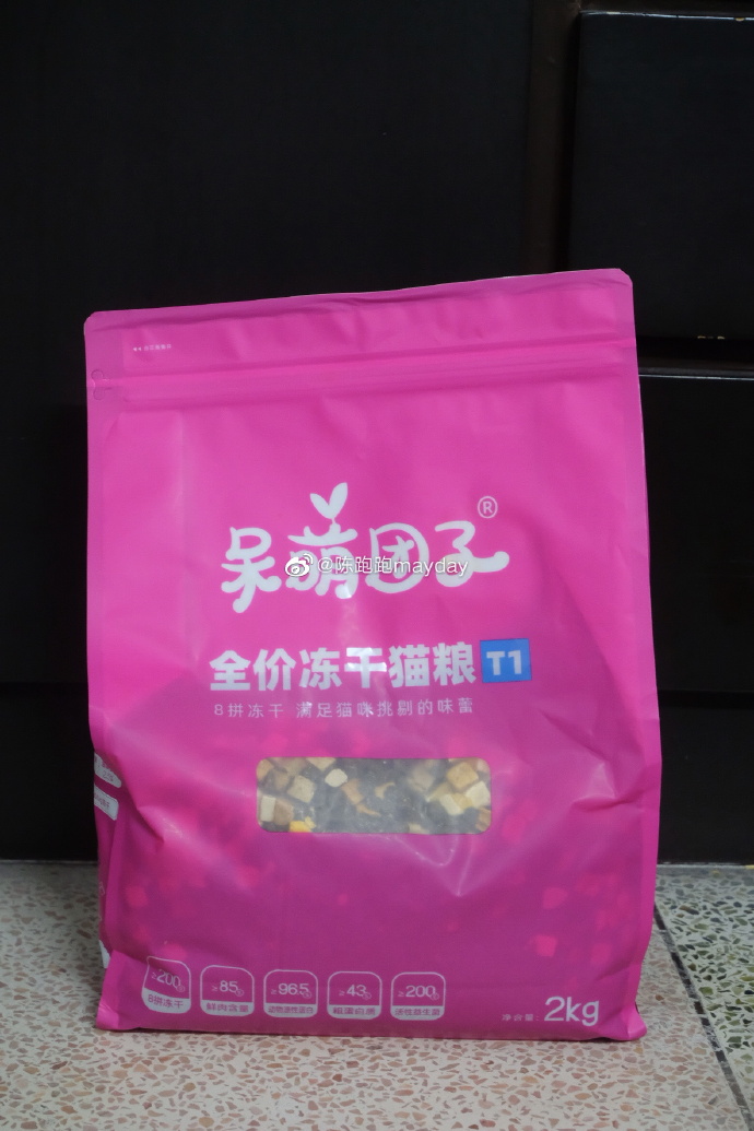 猫图片|宠物猫|猫咪|