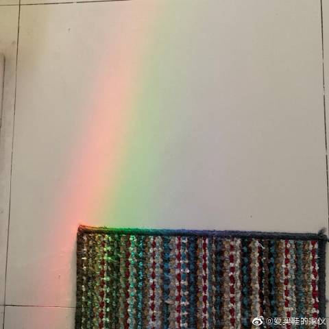 猫图片|宠物猫|猫咪|