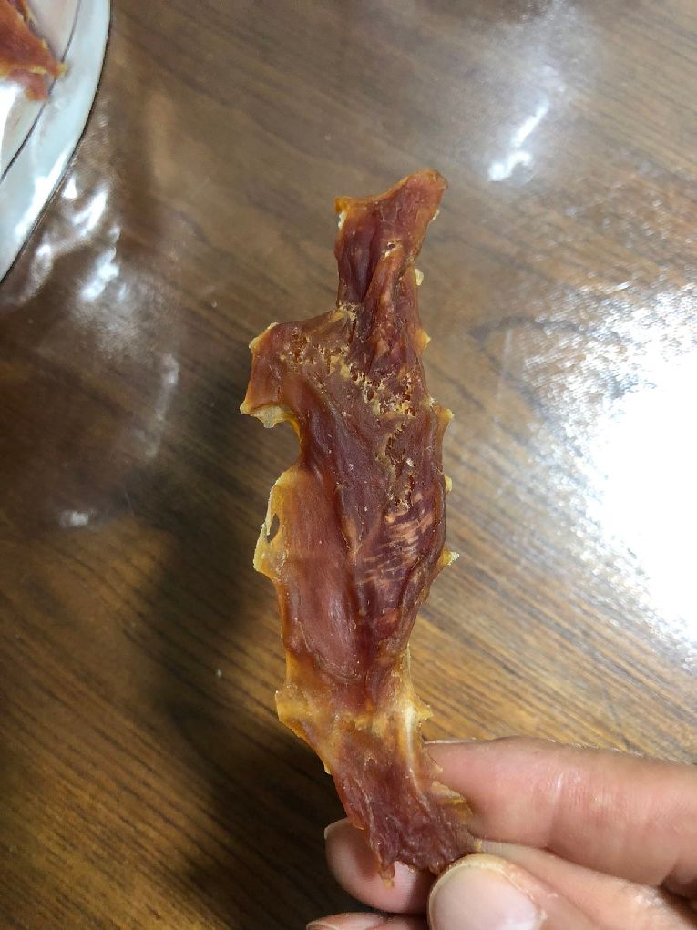 猫图片|宠物猫|猫咪|