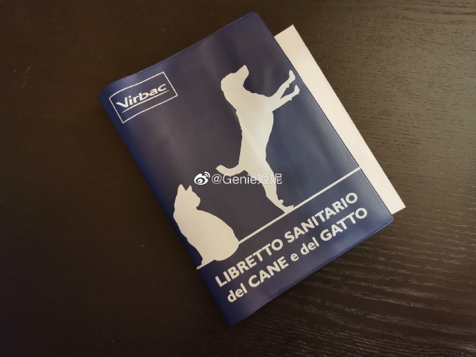 猫图片|宠物猫|猫咪|