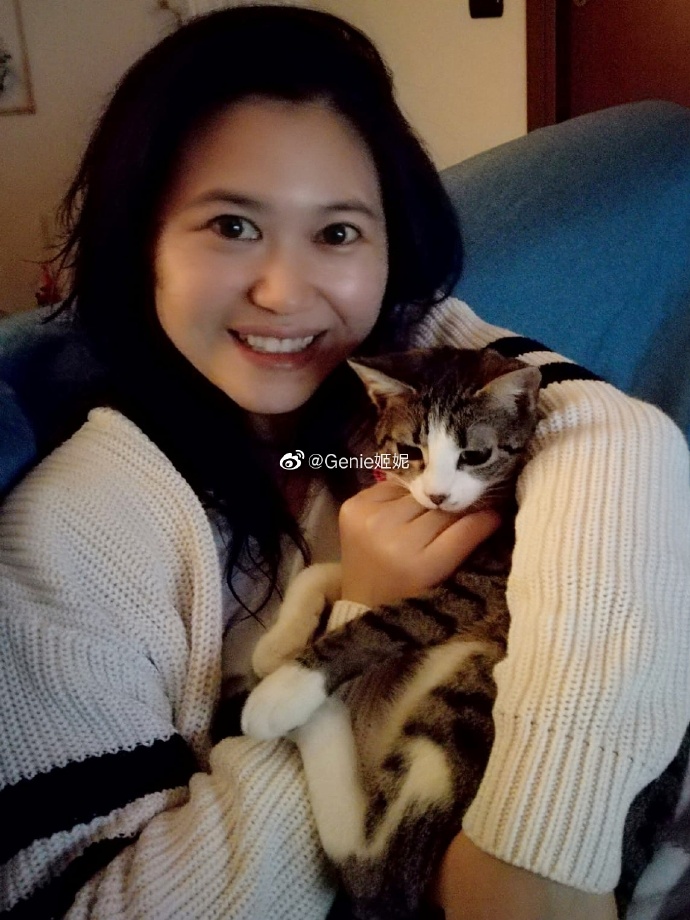 猫图片|宠物猫|猫咪|