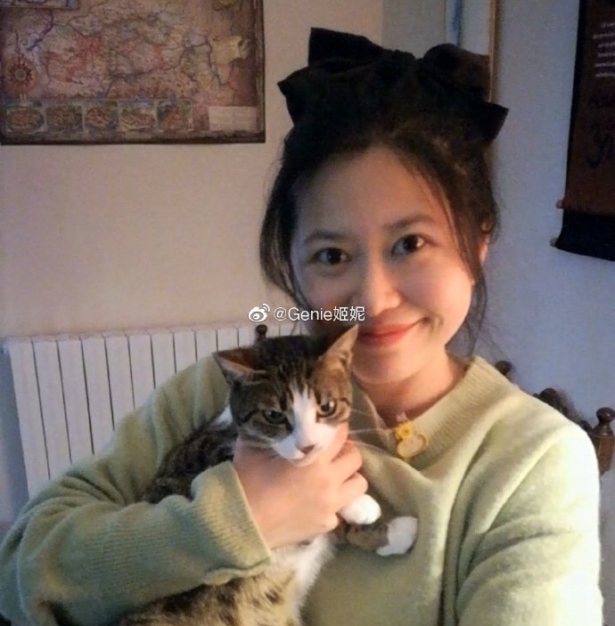 猫图片|宠物猫|猫咪|